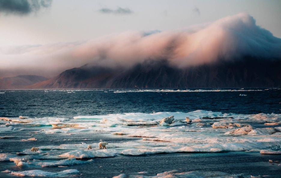 фото img_69ccb8152e23c.jpg