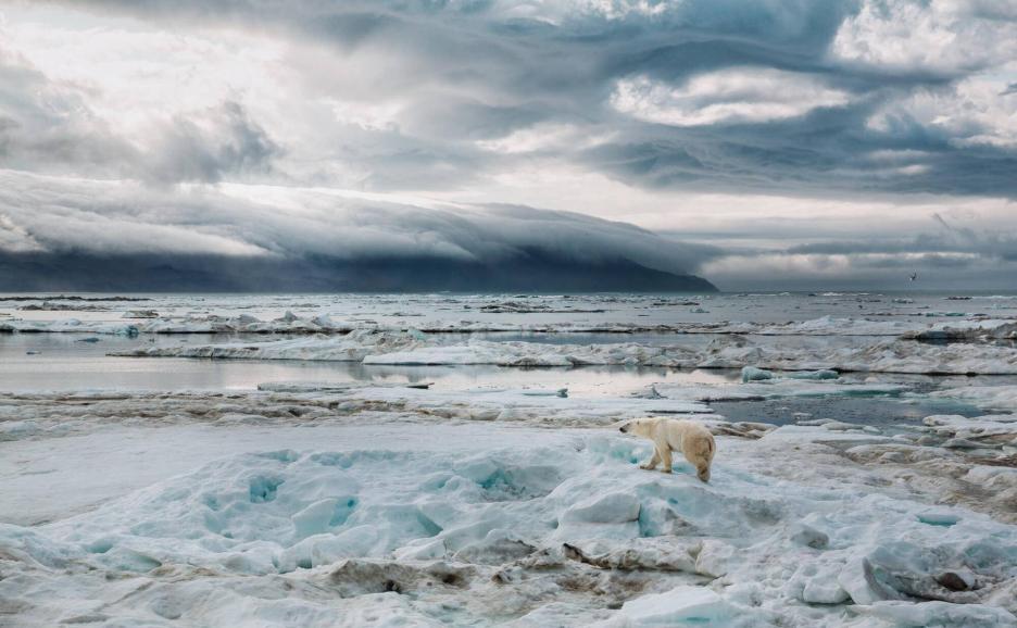 фото img_69ccb817a491a.jpg