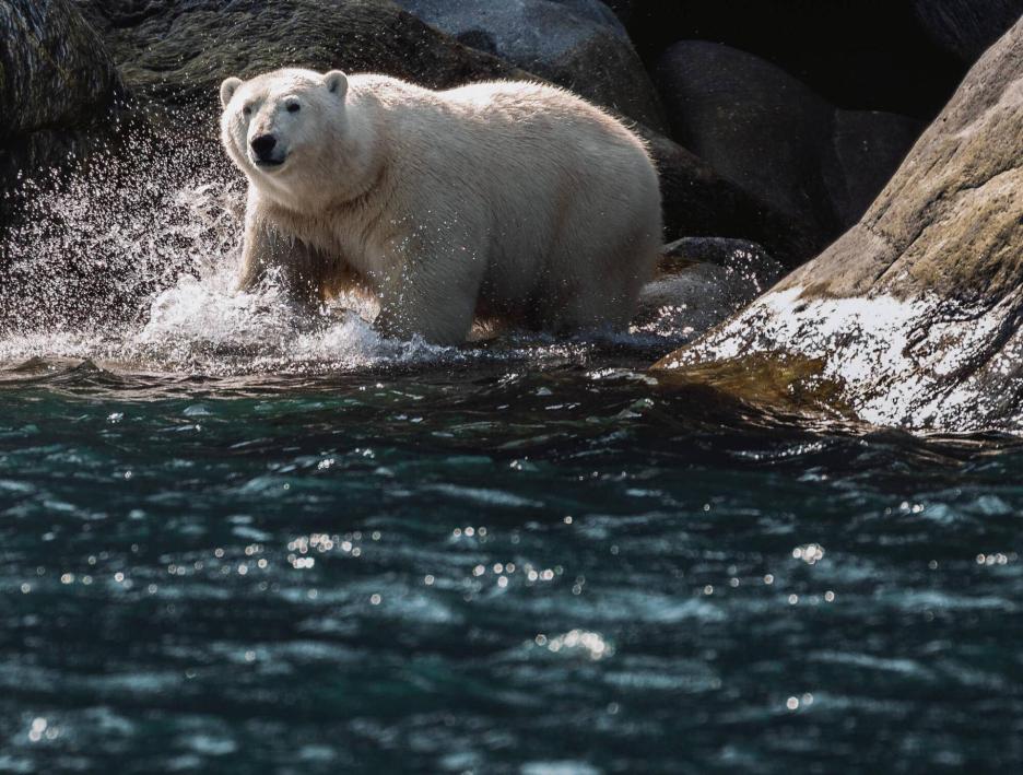 фото img_69ccb818ba598.jpg