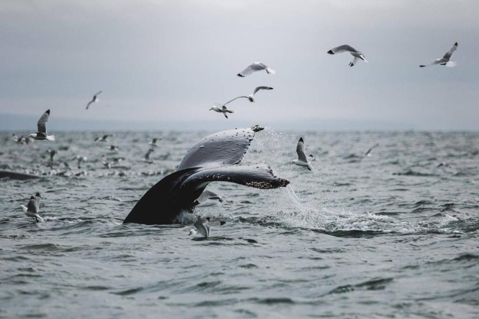 фото img_69ccb81a224b1.jpg