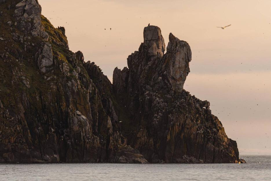 фото img_69ccb81b426ea.jpg