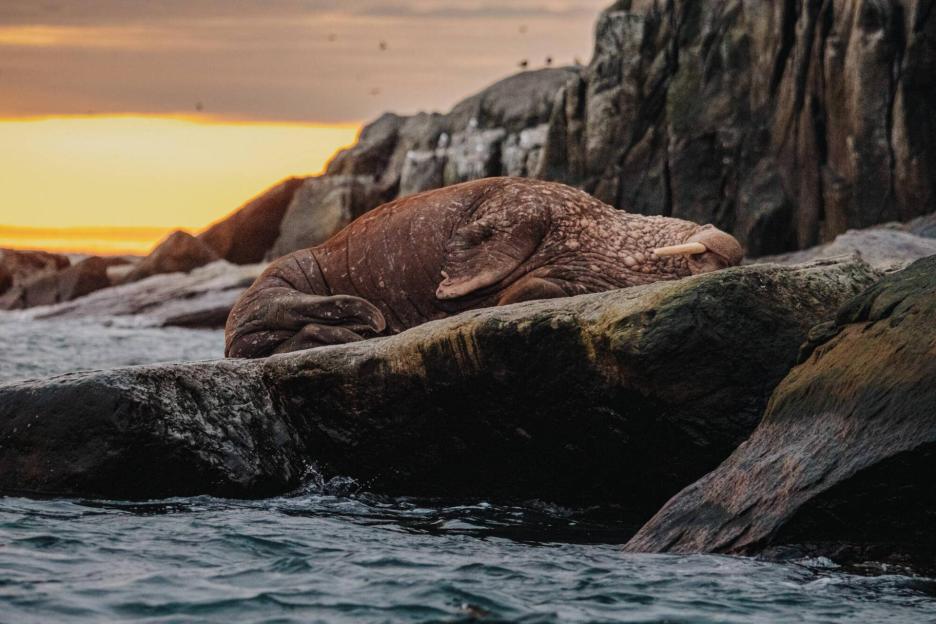 фото img_69ccb81c6c30d.jpg