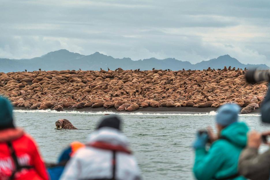 фото img_69ccb8f9b4020.jpg