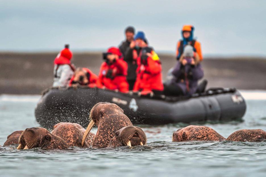 фото img_69ccb8fae6750.jpg