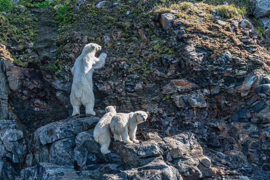 фото img_69ccb8ff42b16.jpg