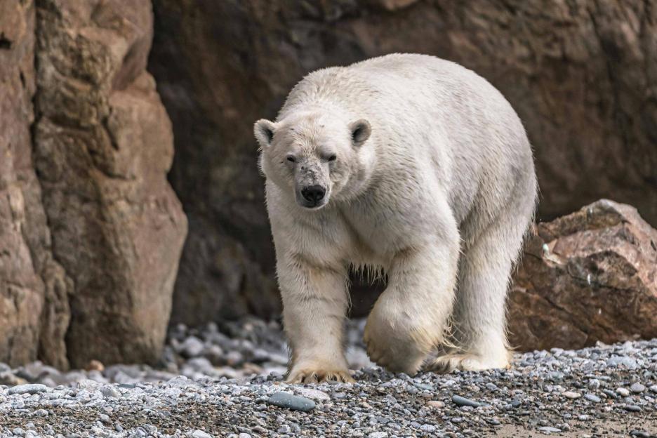 фото img_69ccb9008bd21.jpg