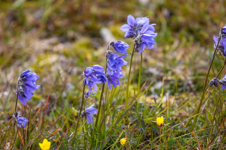 фото img_6aa5b4f9cf2a2.jpg