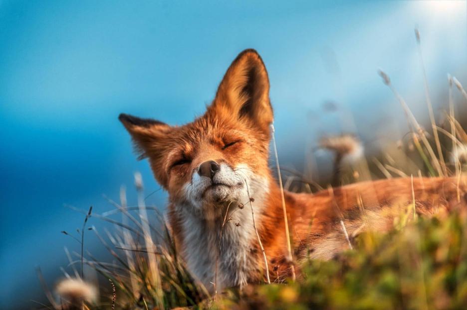 фото img_68aa0a093131c.jpg