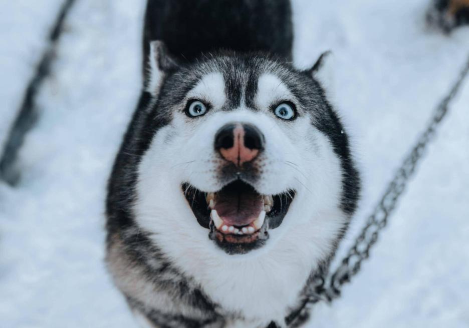 фото img_68c262f08cb2e.jpg