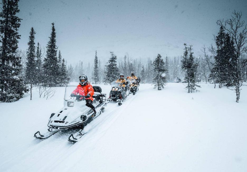 фото img_68c262f1dd9ec.jpg