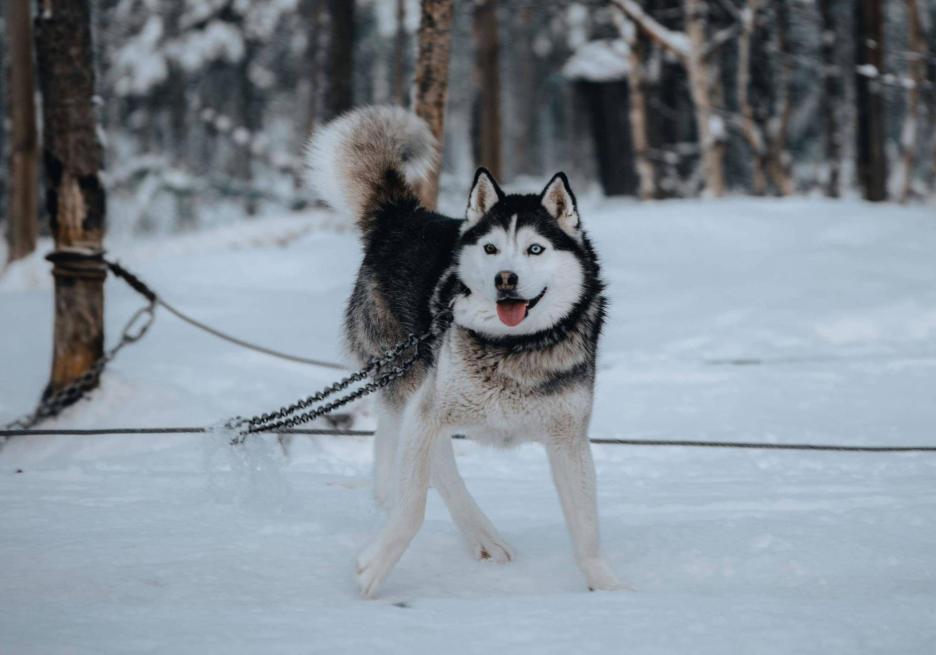 фото img_68c262f852b02.jpg