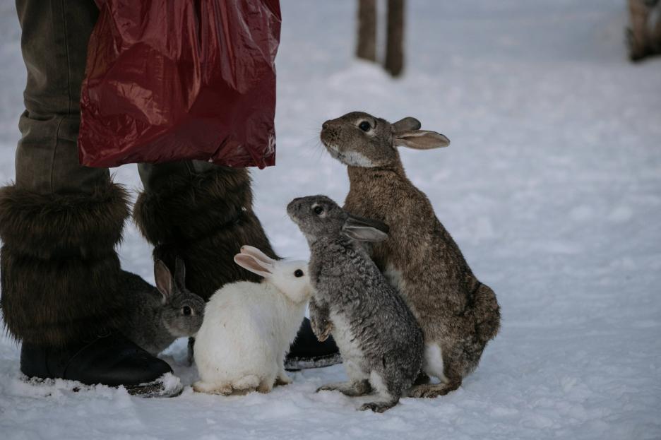 фото img_68c262fac4fcf.jpg