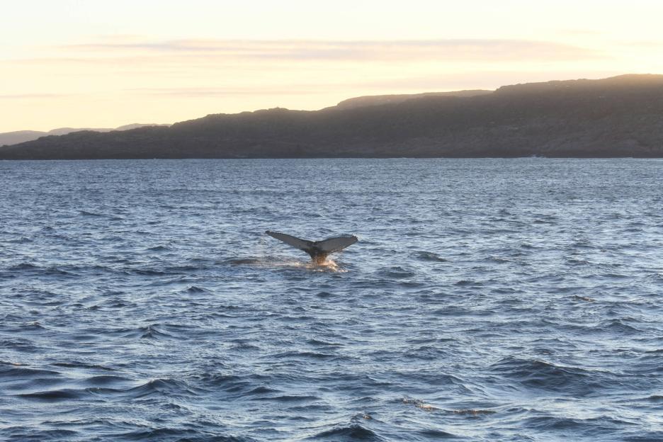 фото img_68c26816a6589.jpg