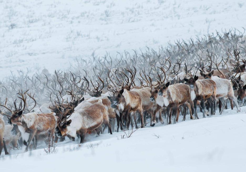 фото img_68c6f9d415551.jpg