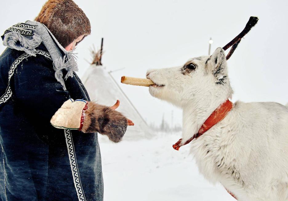 фото img_68cb9b4420301.jpg