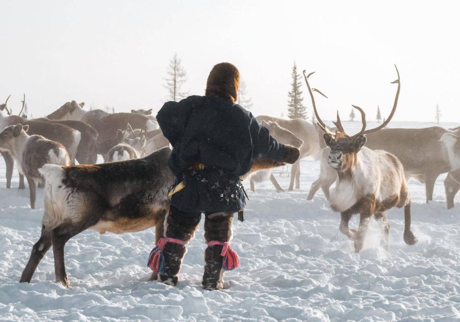 фото img_68cb9b4948550.jpg