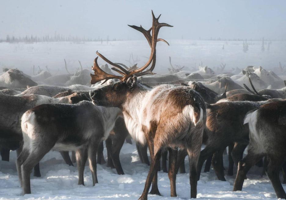 фото img_68cb9b4a86723.jpg