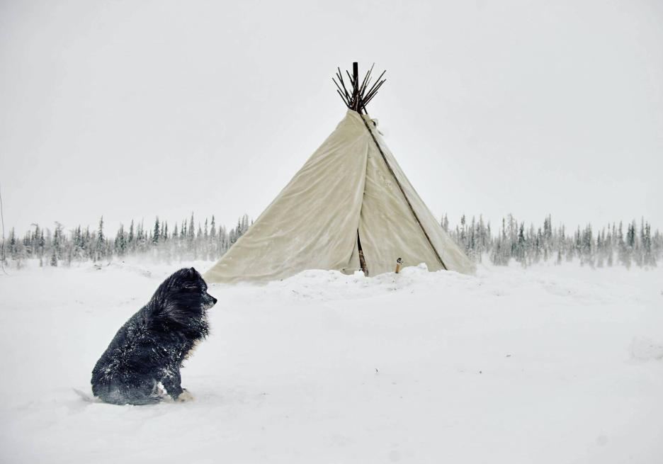 фото img_68cb9b4e590aa.jpg