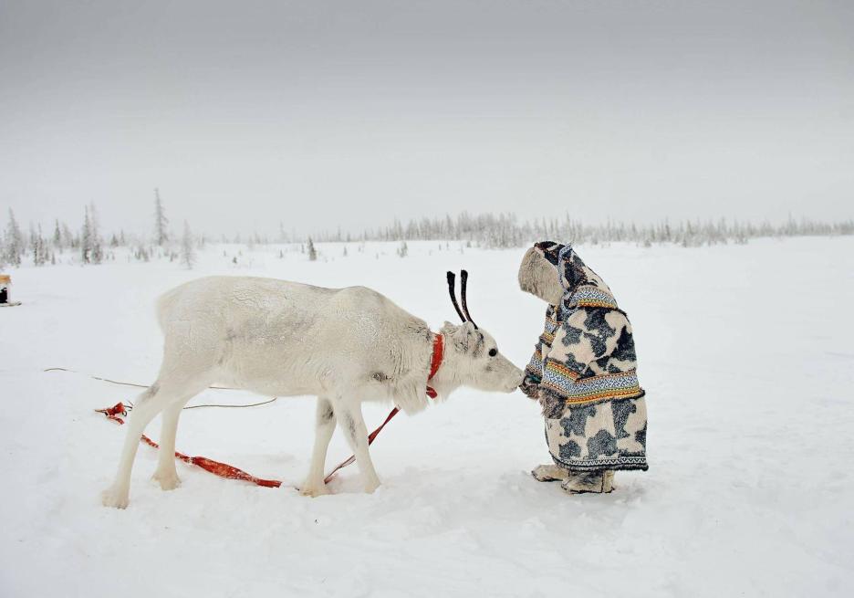 фото img_68cb9c5ac2651.jpg