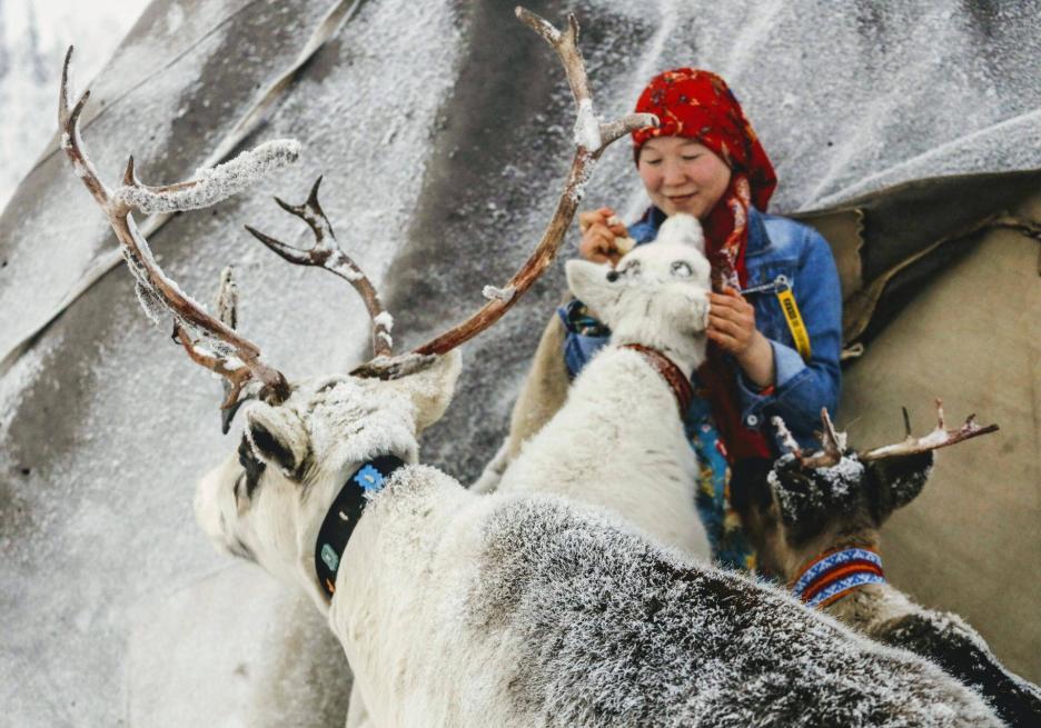 фото img_68cb9c606463f.jpg