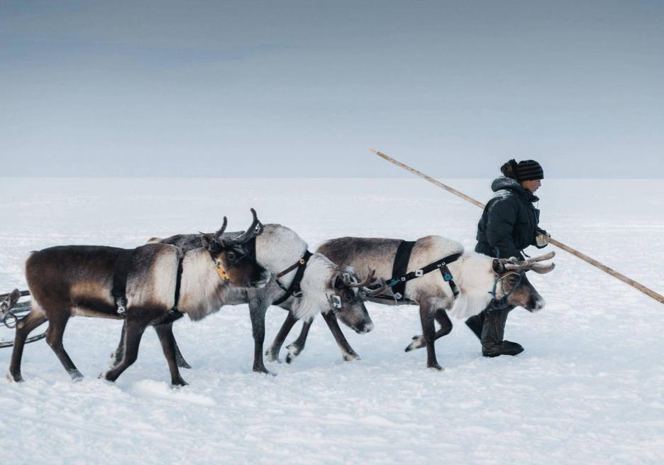 фото img_68cb9c6752dc5.jpg