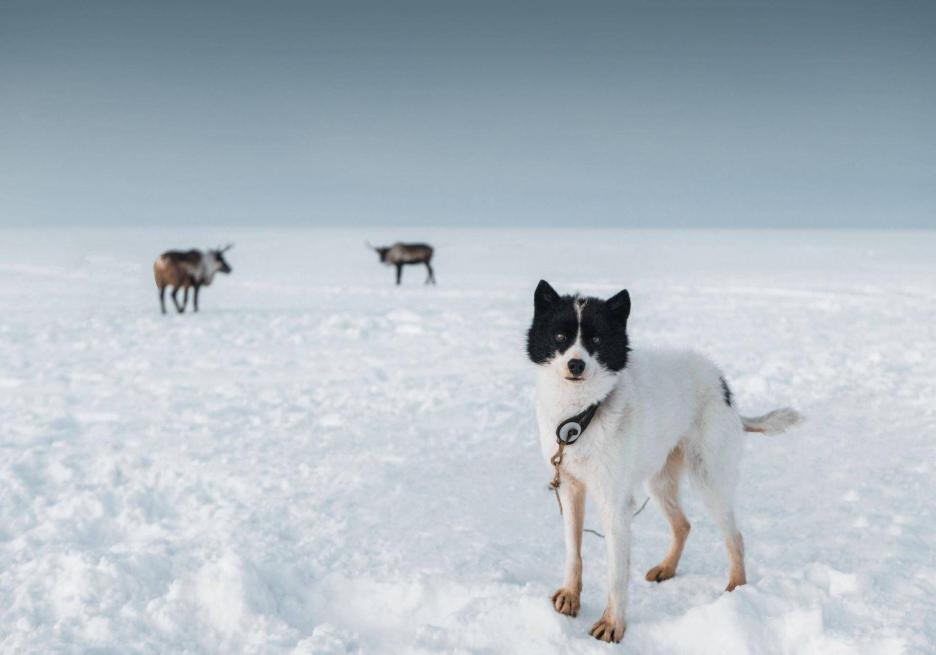 фото img_68cb9c68915dd.jpg