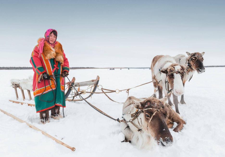 фото img_68cb9d3ec519a.jpg