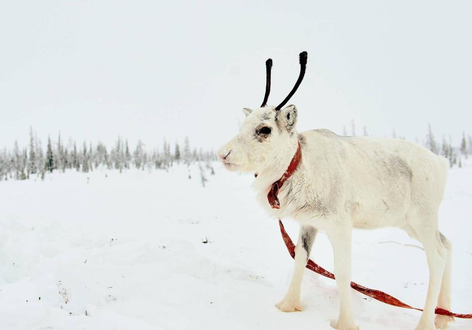 фото img_68cb9d4008c5f.jpg