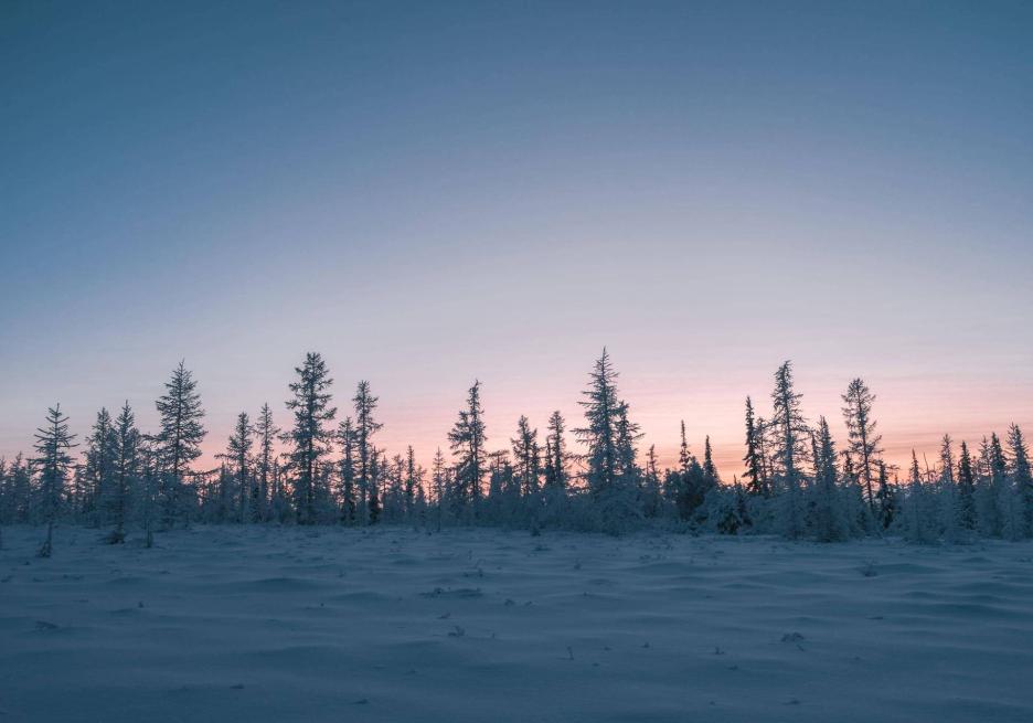 фото img_68cb9d413a260.jpg