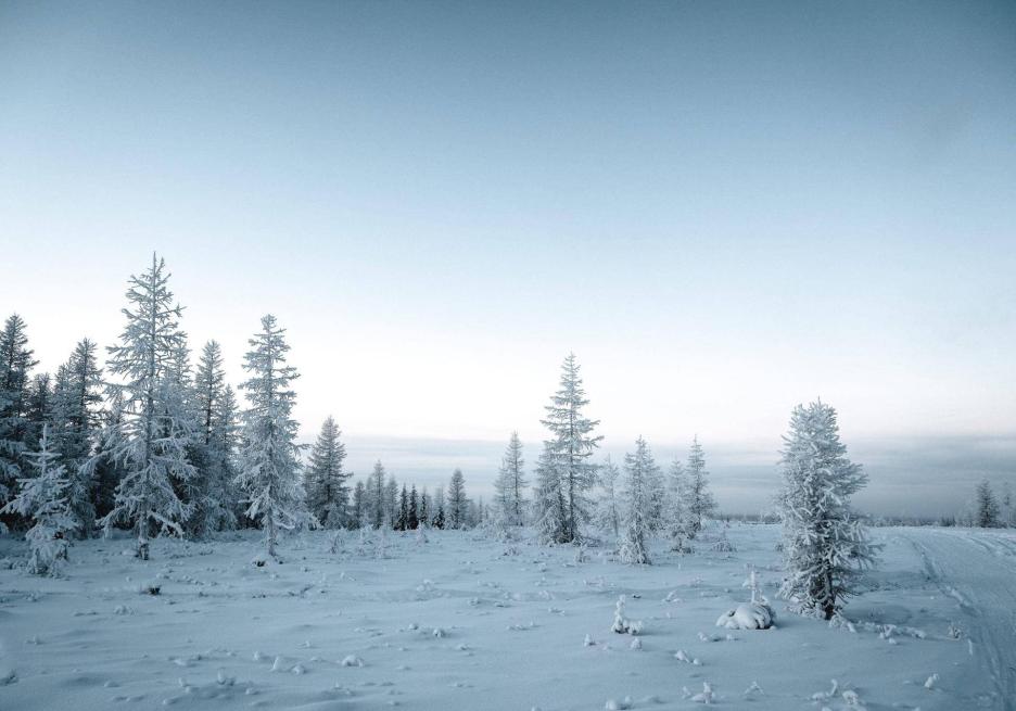 фото img_68cb9d42716ef.jpg