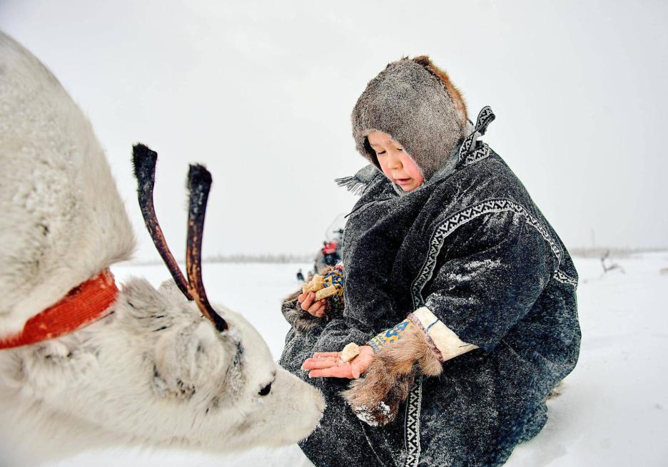 фото img_68cb9d44f0dc8.jpg