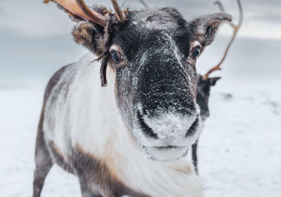 фото img_68cb9d46413e8.jpg