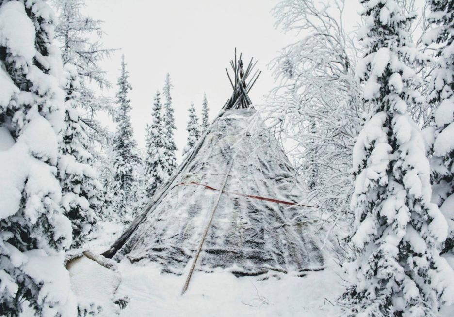 фото img_68cb9d47932ca.jpg