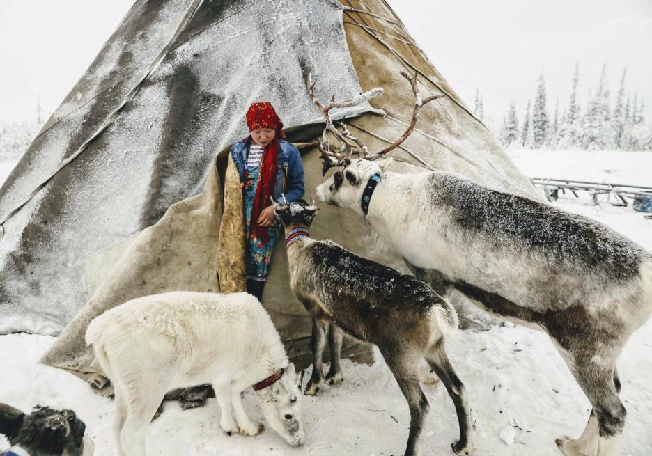 фото img_68cb9d4a2bc78.jpg