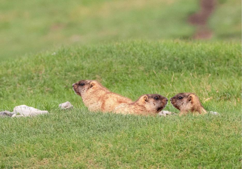 фото img_68d0379d3310e.jpg