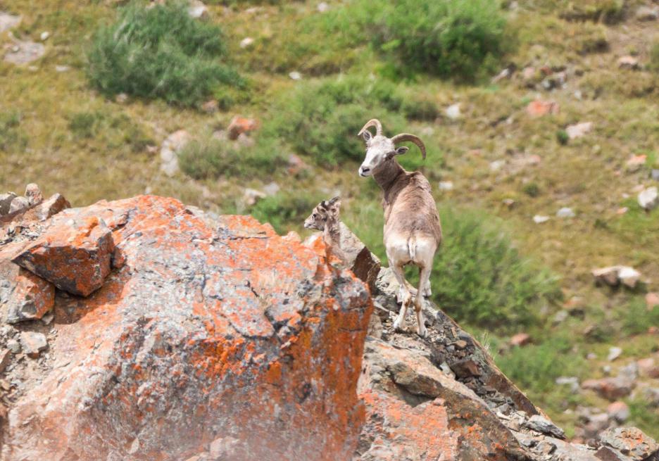 фото img_68d0382416bd6.jpg