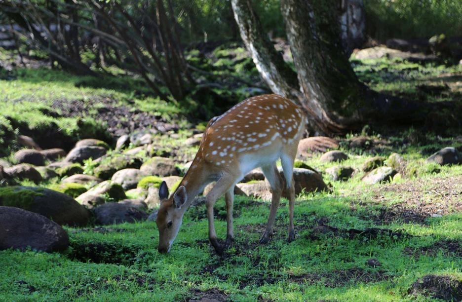 фото img_68d0382662c6f.jpg