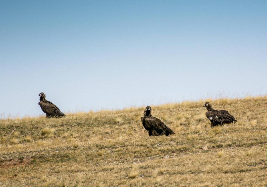 фото img_68d0386f72395.jpg