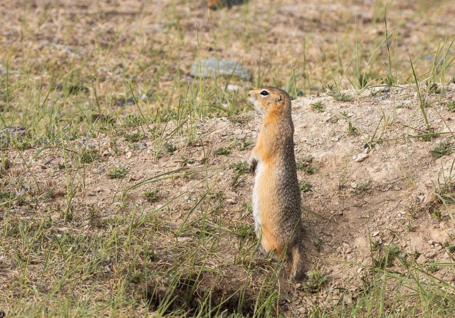 фото img_68d03870b432b.jpg