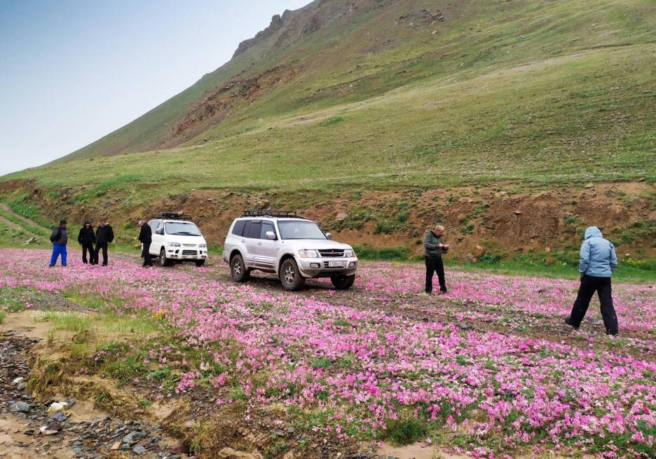 фото img_68d03873beaa2.jpg