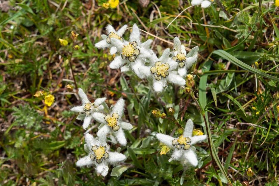 фото img_68d0387546757.jpg