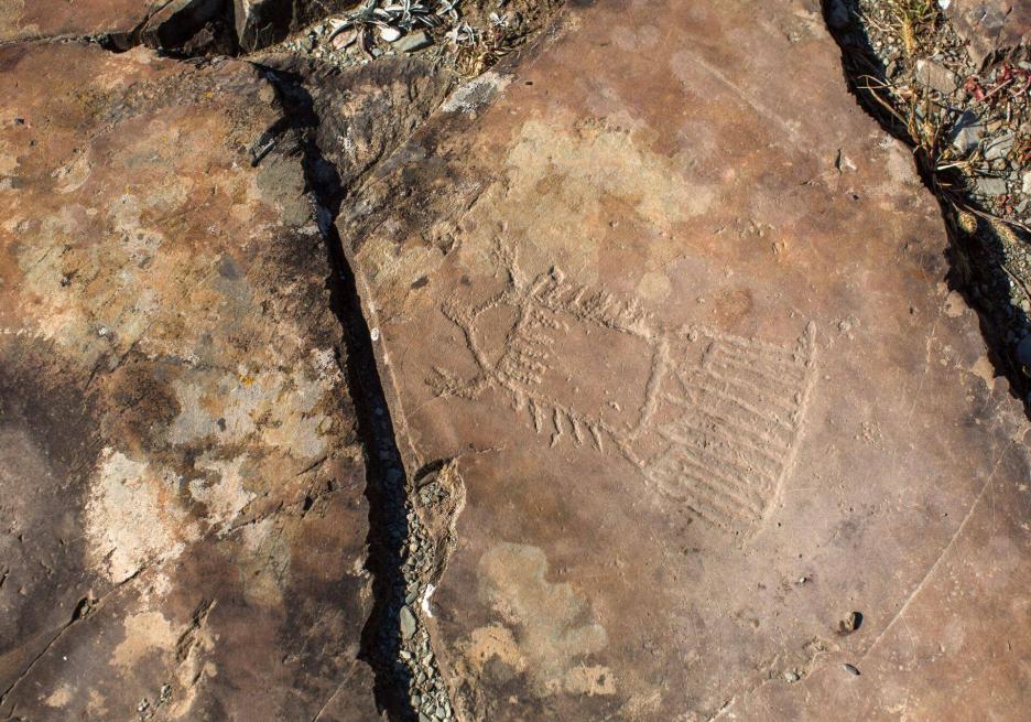 фото img_68d65c446d7df.jpg