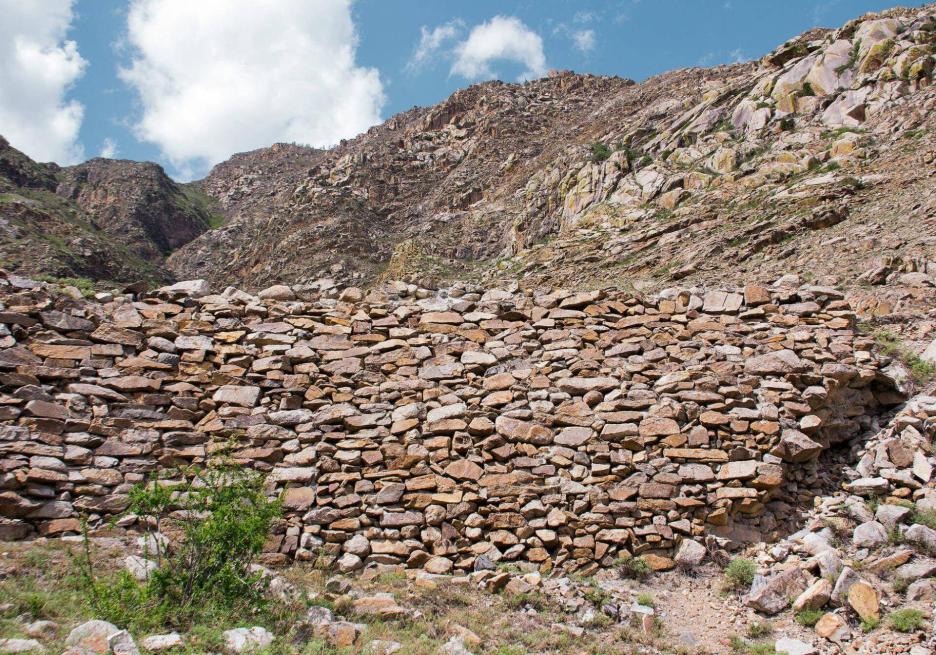 фото img_68d65c51bf9a9.jpg