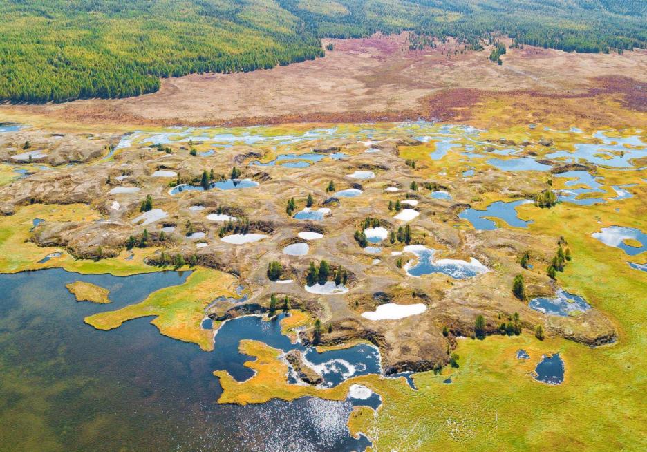 фото img_68d65c53332aa.jpg