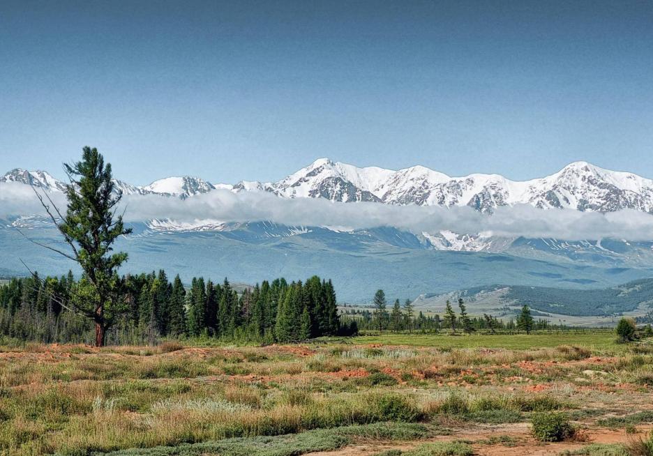 фото img_68d65e7881d9c.jpg