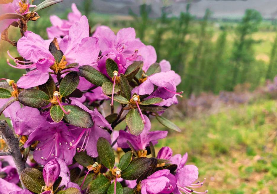 фото img_68e1547006997.jpg