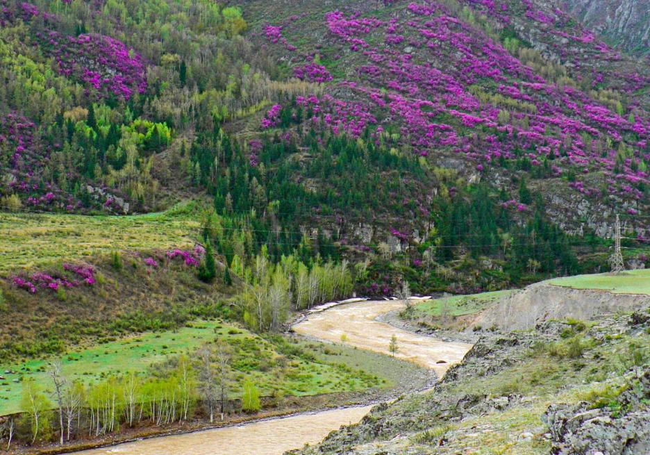 фото img_68e154714b21a.jpg