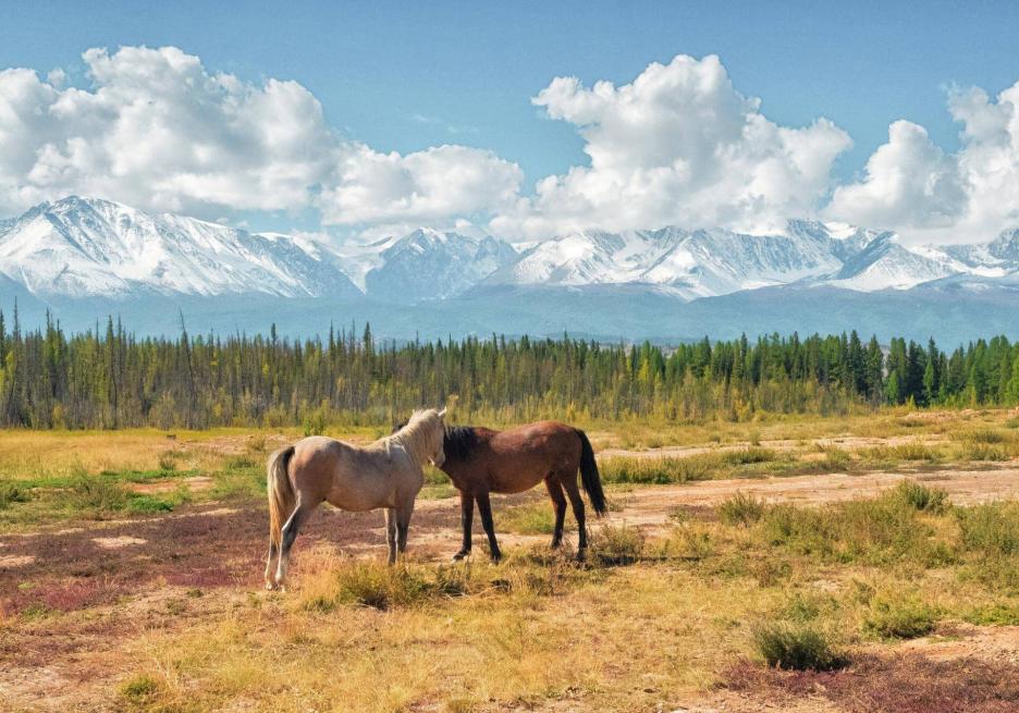 фото img_68e15472a4cac.jpg