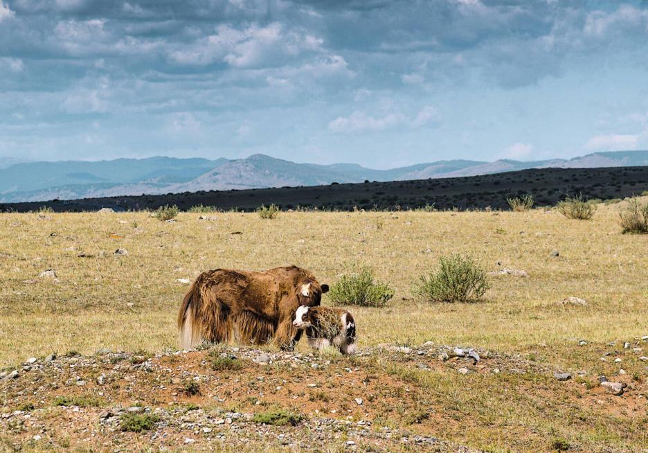 фото img_68e15477257b5.jpg