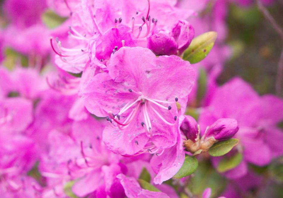 фото img_68e1547893ba7.jpg